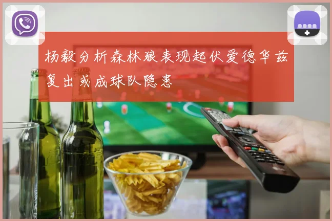杨毅分析森林狼表现起伏爱德华兹复出或成球队隐患