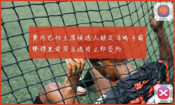 费内巴切主席候选人锁定马略卡前锋穆里奇若当选将立即签约